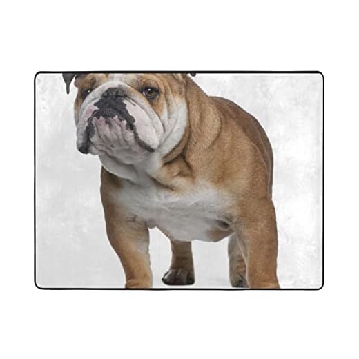 Engelsk-bulldogg mjuk känsla kort lugg matta halkskydd matta vardagsrum stora mattor modernt golv sovrum stor storlek fäller ej 160 cm x 120 cm