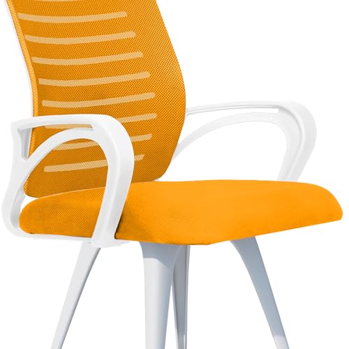 Image of ROSE Elite | 3 Years Brand Warranty | Ergonomic Office Chair, Study, WFH, Revolving, Rolling, Desk, Task, Laptop, Student Chair (White & Orange, Elite MB Reception)
