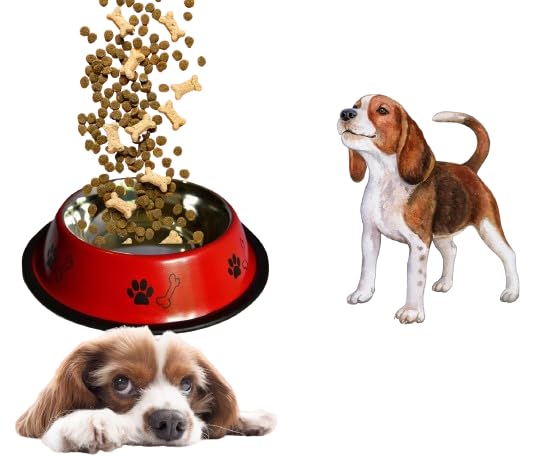Movson Stainless Steel Paw Bone Printed Bowl for Dogs, Cats & Any Pets - 700ml, Medium (Red) I Non-Skid Rubber Bottom Food/Water Bowl I Non-Toxic & 100% Safe for Pets (B0D17SYYRZ) Amazon Price History, Amazon Price Tracker