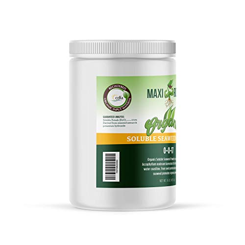 Polvo soluble orgánico de algas marinas 0-0-17 1 lb miniatura 2