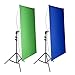Neewer 2-en-1 100x140 CM Écran Toile de Fond Portable Chromakey Bleu Vert avec Kit de Support d'Éclairage de 200CM, 4 Tiges Flexibles, Support Inclus pour Diffusion en Direct, Studio, TikTok, Youtube