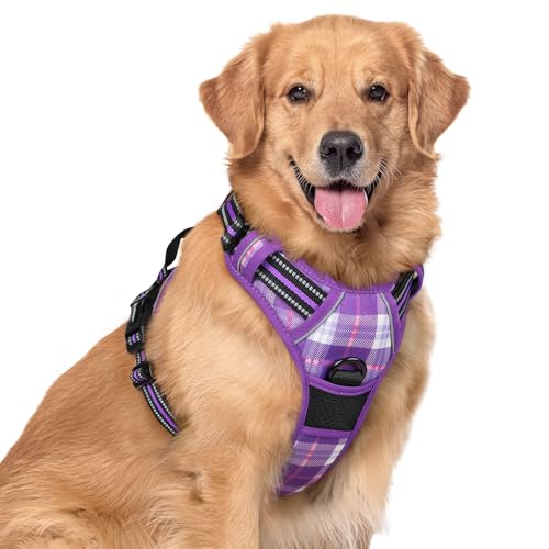 Image of rabbitgoo Dog Harness No Pull with 2 Leash Clips, Adjustable Soft Padded, Reflective Oxford No Choke Pet Vest with Easy Control Handle for Large Dogs, Purple Plaid, XL