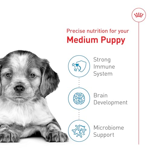 Royal Canin Size Health Nutrition Medium Puppy Dry Dog Food, 4 lb image 2