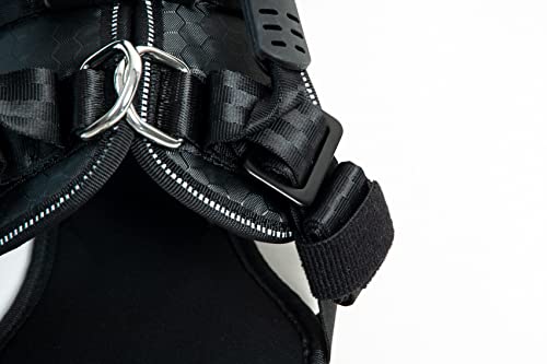 DogMaster 2.0 Hundesicherheitsgurt, schwarz/Black, Größe XL