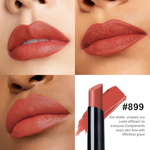 Image of evpct Nuetral Brown Velvet Matte Lipstick, High Pigmented Slim Lipstick Long Lasting Waterproof for Women, Velvet Silky Lip Stick Stain Color Makeup Blendable 24 Hours Original Makeup Labiales, 899#