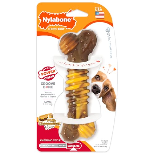 Interpet Nylabone Kauspielzeug für extreme Kauer, Strukturknochen Rinder und Käsegeschmack, M
