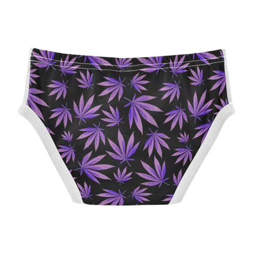 Boys' Exclusive Briefs Toddler Underwear 95% Combed Cotton Boxerbriefs 2T Purple Leaf Pattern 412