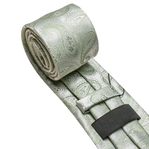 Image of Barry.Wang Paisley Tie for Men Silk Woven Necktie and Tie Clip Set Wedding Party Business Formal