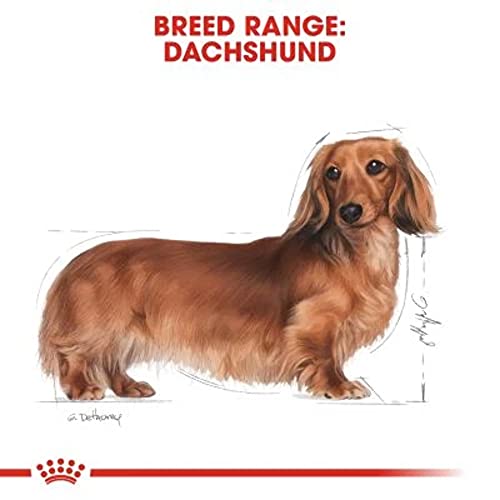 Royal Canin Dachshund 28 Adult Hundefutter 7.5 kg, 1er Pack (1 x 7.5 kg)