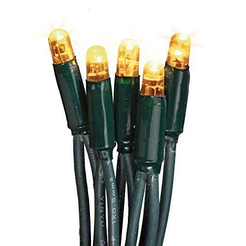 hellum LED Lichterkette Außen, verlängerbar Lichterkette mit Steckdose, Verlängerungs-Set ohne Netzkabel, 7,9m 80 LEDs warm-weiß, Kabel grün Weihnachtsbeleuchtung für Garten, Party 555042