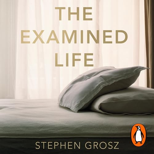 The Examined Life : Stephen Grosz episode artwork