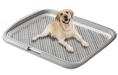 Fiozwea tFXtO\􂦂錢pgCF@\tpgCB^bV{EAitgCA͂˖h~A􂦂PPfށB (h)