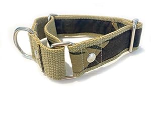 Dog-O-Bow Khaki Print Martingale Collar (M)