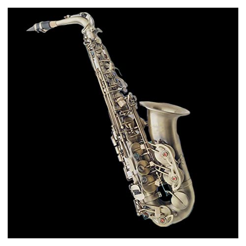 E-Flat Alto Saxophone instruments l̏S҂ɍœK