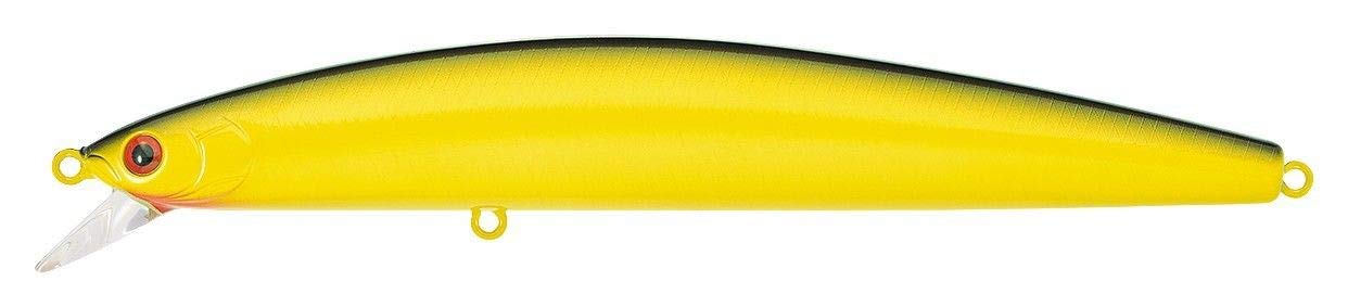Fishermen's Source Daiwa Salt Pro Minnow Floating 15 cm/6 inch Multipacks (2 Count)