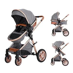DuraFlex 2-in-1 Baby Stroller, Foldable Travel Stroller for Newborn to Toddler, Convertible Stroller with All-Terrain Wheels and UPF 50+ Canopy, Gray