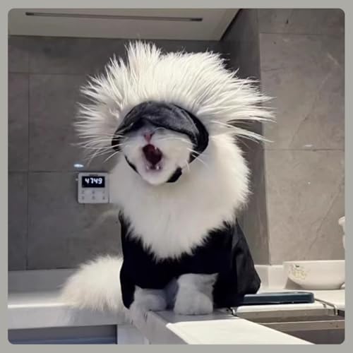 Disfraz cosplay gato rosa MANON ROSA para perros pequeños miniatura 5