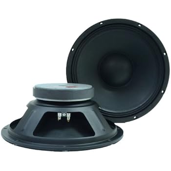 pair of 12 inch subwoofers