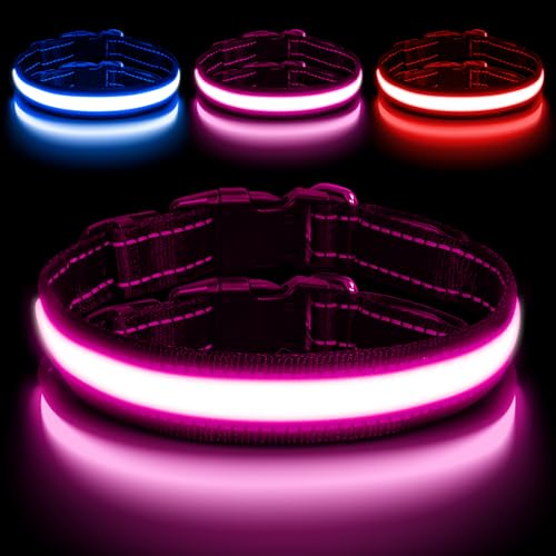 Ya en mundofriki.es: AUAUY Collar Luminoso LED Recargable para Perros, Impermeable y Ajustable, para Pequeños/Medianos/Grandes (Color)