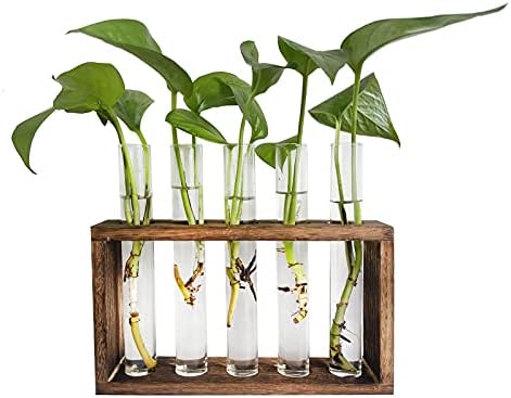 Hyindoor Desktop Glass Planter Propagation Station Wall Mounted Hanging ...