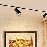 SCON XTB106-24SD 24V LED Spotlight Downlight Lamp Head for Recessed/Ceiling/Pendant Magnetic Track Lighting System Ceiling Wall Light (18W/3000K Support Dimming/24°/Ra93)