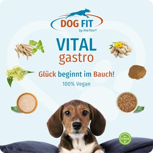DOG FIT by PreThis® VITAL Gastro | Für eine harmonische Verdauung beim Hund | Mit Topinambur, Ashwagandha & Neem – inspiriert von der Ayurveda | Vegan, ohne Zusätze | 80 g