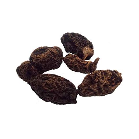 CircuitOffice 1 Oz High John The Conqueror Root (Ipomoea Jalapa), for Charms, Spells, Magick, Drawing Luck, Love, Success and Wicca Cover