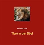 Agentur d. Rauhen Hauses