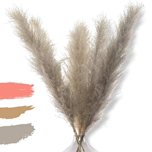 Kozy Living Pampasgras