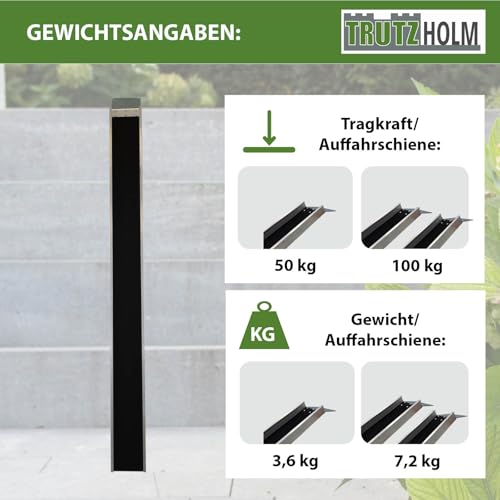 TRUTZHOLM 1 x Alu Auffahrschiene 194 cm 50 kg Alu grau Anti-Rutsch Beschichtung E-Bike Mofa Fahrradrampe für Treppe