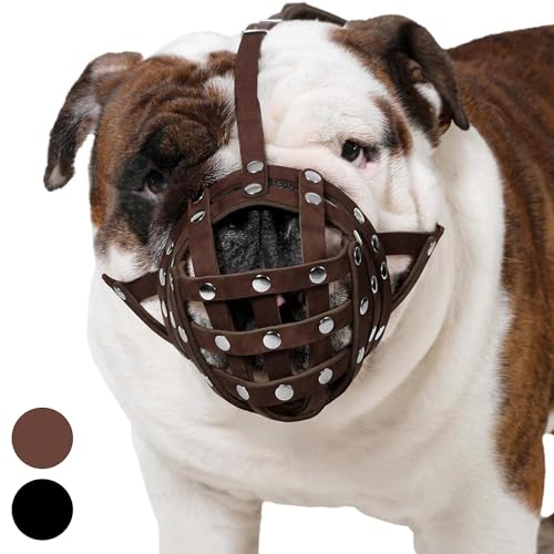 CollarDirect Leather Basket Muzzle