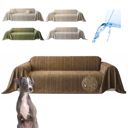 Lifetips EBybgiWhippetj \t@[Jo[ k  􂦂 h }`Jo[ 2l| 3l| It IȂ ~ Eh~ LΉ lGʗp iuEj i230180CMj