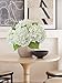 ZYTUYO 20 inches 4 Pcs Ivory White Real Touch Hydrangea Artificial Flowers Boho Lifelike Real Looking Latex Hydrangeas Flower with Long Stem for Home Decor Spring Table Centrepiece