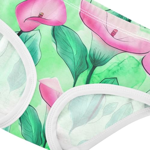 Cartoon Girls Underwear Toddler 2t Cotton Panties for Girl Pink Calla Lily Flowers Teal Green Kids Briefs Undies4