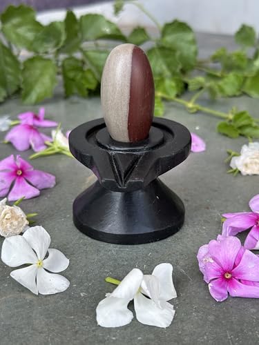 Image of Shivam VASTU AKAL 1.5 inch Original Narmadeshwar Narmada Shivling with 3 inch Narmada Stone Yoni Base Jaladhari (Ardhanarishwar Shivling, Black Damtu Jaladhari)