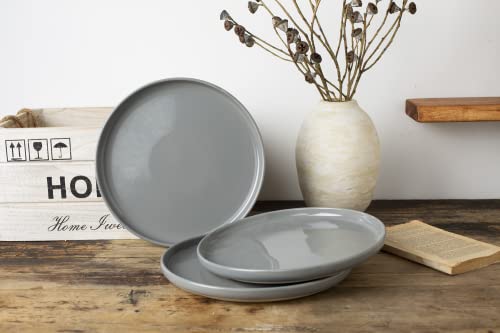 Famiware Dinner Plate, 10 Inch Plates For 4, Plate Set, Scratch Resistant, Stoneware Dinnerware, Kitchen Modern Rustic Serving Dishes, Dark Gray #TOP2