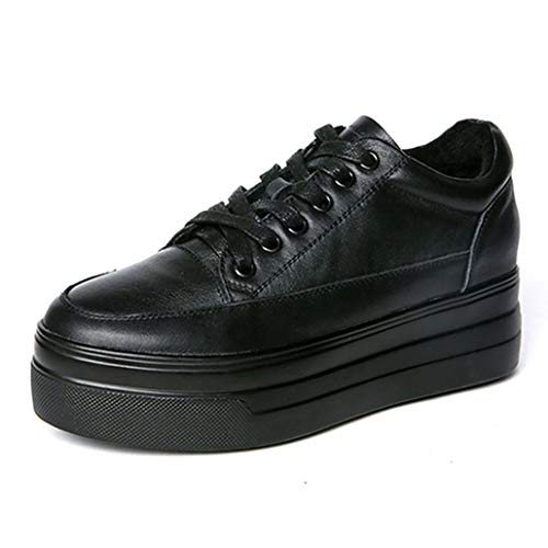 [OceanMap] vC U[  pvX JWA ؍ [Jbg Cq[ [XAbvV[Y V[Y fB[X TCY  Xj[J[  X|[cV[Y 23.5cm r gAbv 22