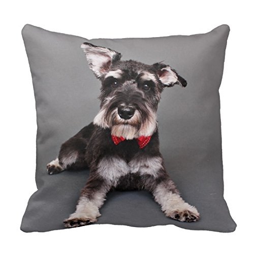 Pillowcase Generic Custom Pillow Cover Cotton 18 X 18 Twin Sides Schnauzer - Tom Dooley Throw