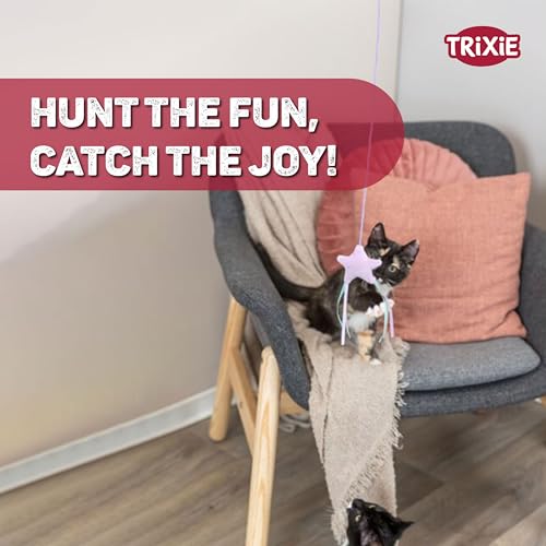 Image of TRIXIE Cat Fishing Rod Toy (Junior Playing Rod with Star)