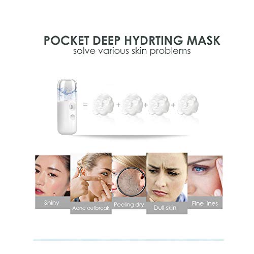 Giverare Nano Facial Steamer, Handy Mini Mister, Usb Rechargeable Mist Sprayer, 30Ml Visual Water Tank Moisturizing&Hydrating For Face, Daily Makeup, Skin Care, Eyelash Extensions-White #TOP5