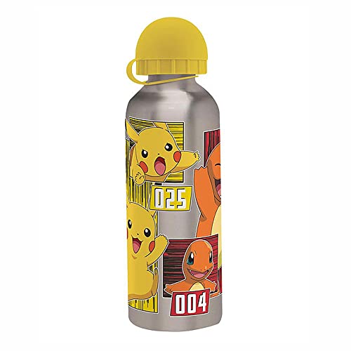 Kanto - Gourde en aluminium - Pokemon - 500 ml - Bouteille sport en aluminium