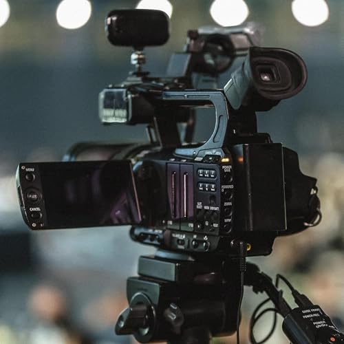 Production paused on satire series for CBC and APTN after guests, who said they were misled, speak out