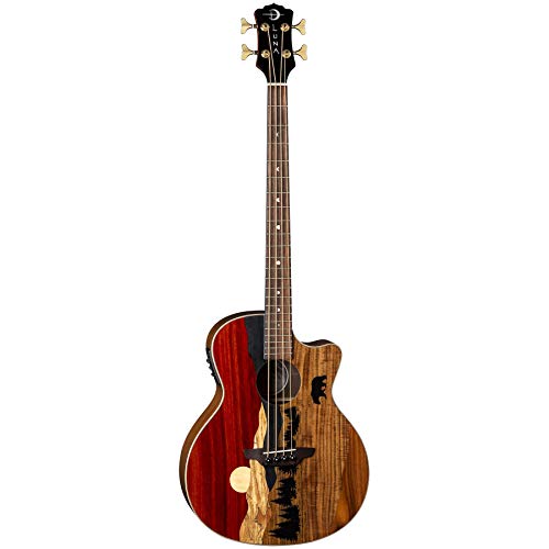 Luna Vista Bear Acoustic/Electric Bass with Case