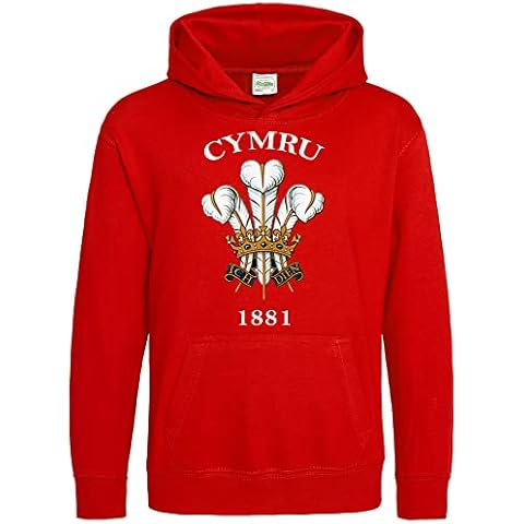 Purple Print House Cymru 1881 Baby Hoodie Cover