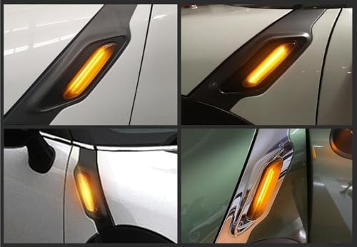 Intermitente lateral Mini Paceman R61 para solucionar luces fundidas u opacas 7