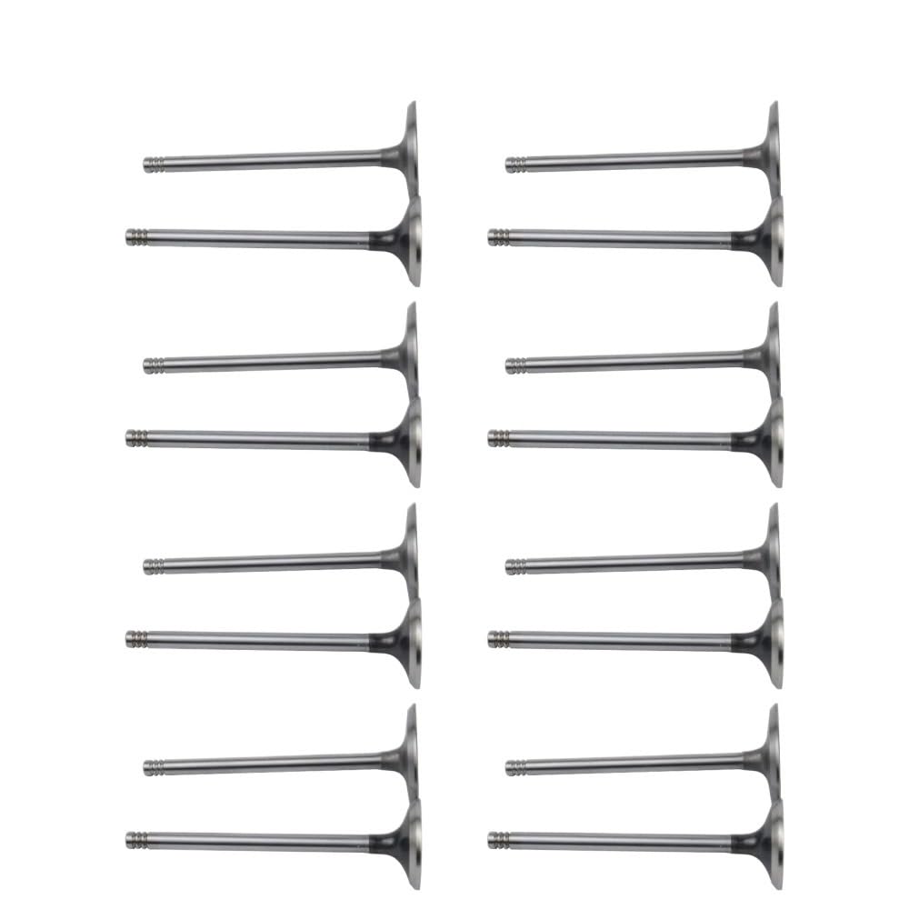 Engine Intake & Exhaust Valve Set 5.7 L Compatible with Chrysler 300 Dodge Ram Jeep Grand Cherokee 1500 EZB EZD EZH 5.7L V8 Gas 03-19(Old Models)