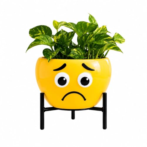 TIJARAT Cute Emoji Ceramic Plant Pot with Metal Stand, 400 ml Indoor Flower Planter, Decorative Succulent & Money Plant Pot, Home Office Desk Decor, Gift for Plant Lovers -(Sad Pot)
