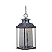 VAXCEL T0311 LED Outdoor Pendant