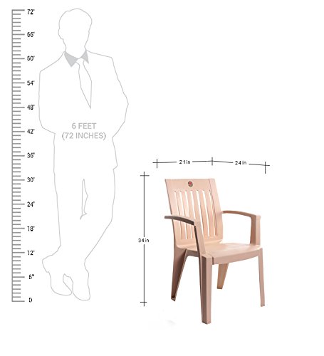 Image of Cello Prominent Set of 4 Chairs (Beige) | Strong and Durable | Easy to Clean | Chair for Living Room, Bed Room, Kitchen, Office Room, Outdoor | 3 Years Warranty
