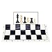 WE Games Chess Sets for Adults, Chess Board is 17 in., Chess Pieces with 3.08 inch King Travel Chess Set, Board Games Storage in Convenient Portable Carry Tube, Games for Adults